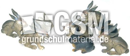 Hasen3+5.jpg